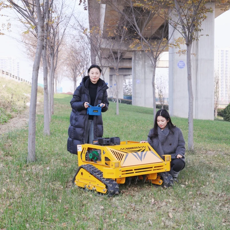 Customized Hot Selling Remote Control Crawler Brush Cutter Grass Mini Robot Flail Lawn Mower