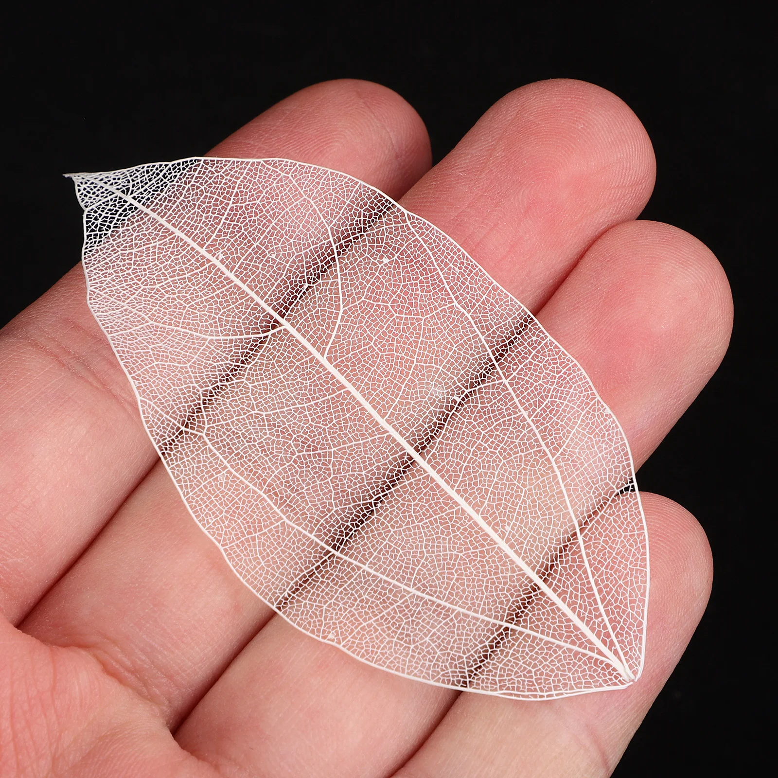 

36Pcs Natural Leaves Vein Dried Pressed Leaves for DIY Handcraft Scrapbooking Making Resin Embellishment