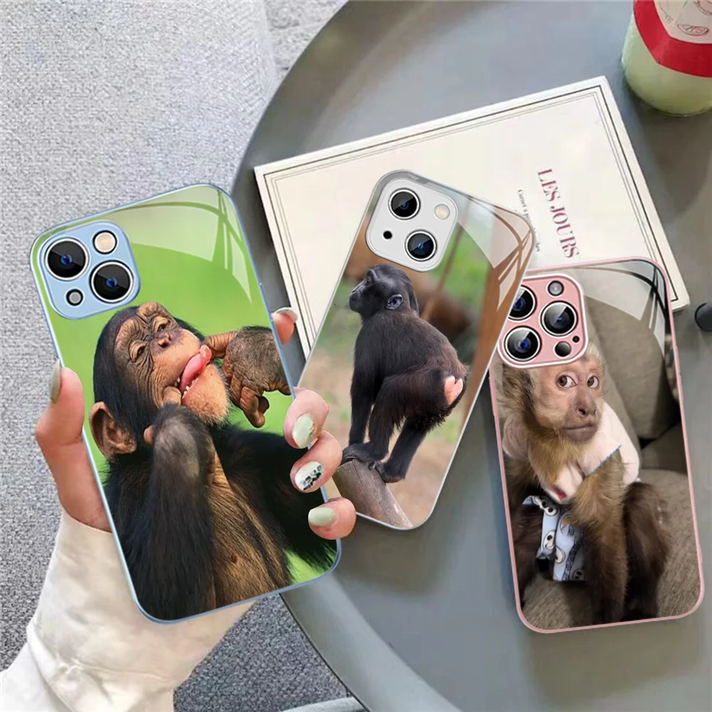 Monkey Sipping Caprisun Meme Phone Case Tempered Glass For iphone 14 13 12 11 Pro Mini XS MAX 14Plus X XS XR Cover