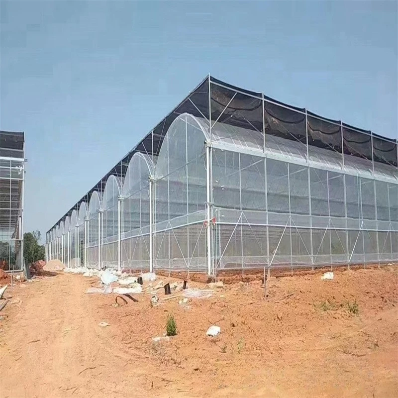 

2025Glass greenhouse manufacturer - Flower glass greenhouse vegetable in greenhouses