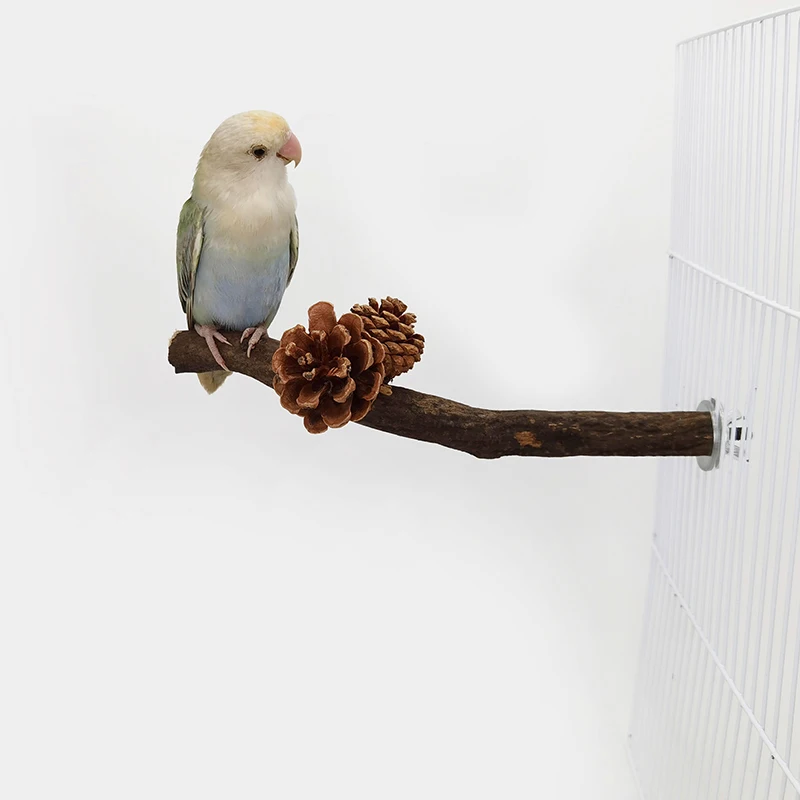 Durable and Natural Wooden Perch Birds - Perfect for Parrots and Cockatiels to Exercise and Keep Beaks Trimmed - Bird Stand Toy