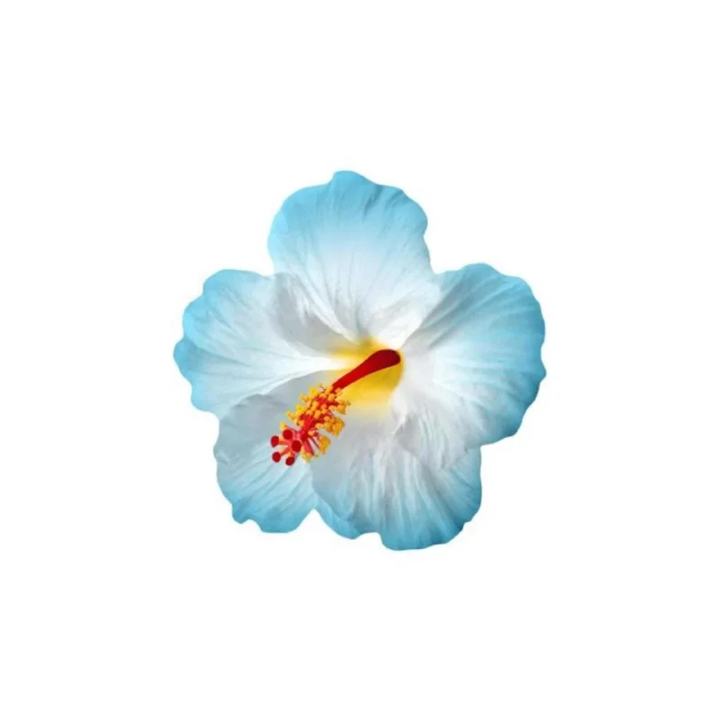 Diesel Fuel Injecto…