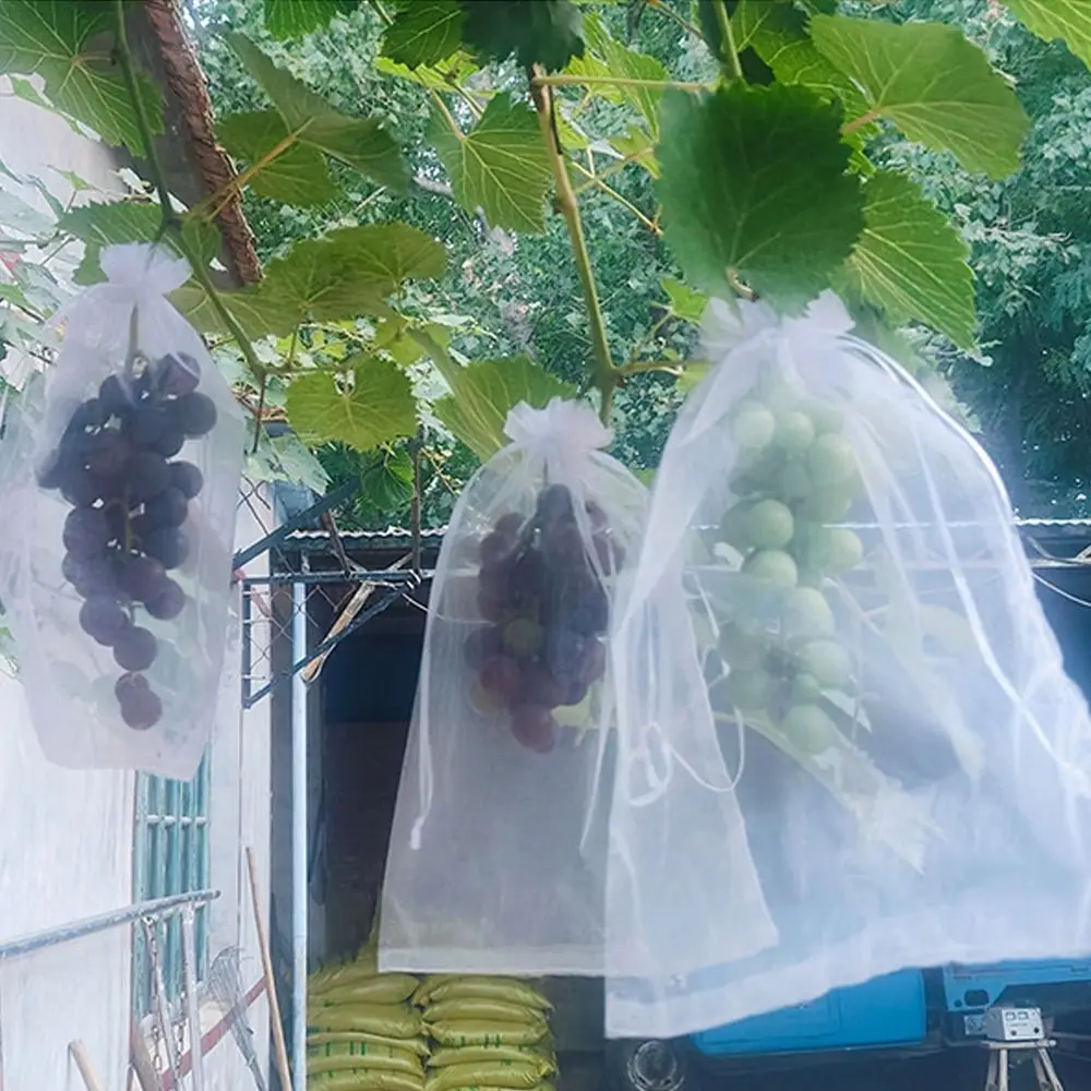 100pcs Grapes Fruit Grow Bags Netting Mesh Strawberry Vegetable Plant Protection Bags For Pest Control Anti-Bird Garden Tools - view 5