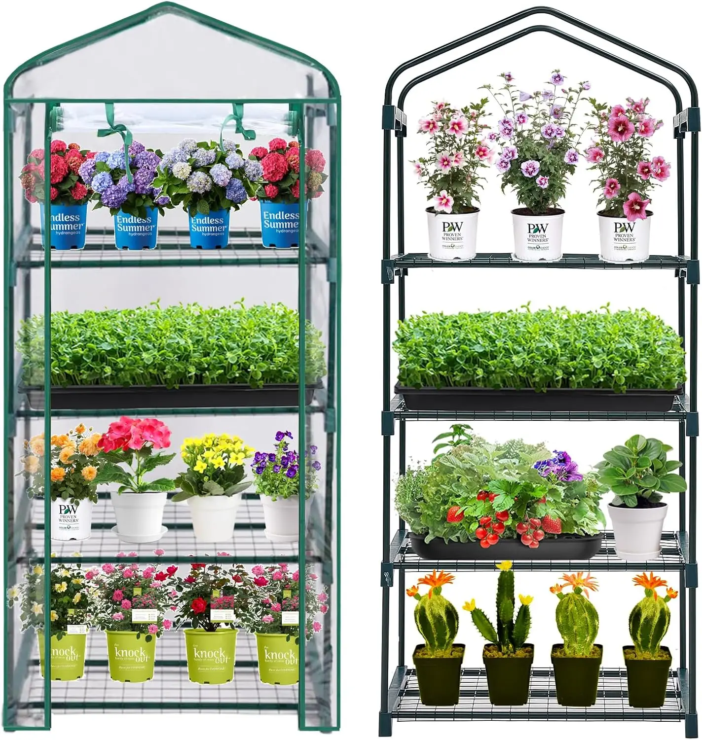 

Mini Greenhouse for Indoor Outdoor, Plant Green House 4-Tier Rack Stand Portable Greenhouses with Durable PVC Cover