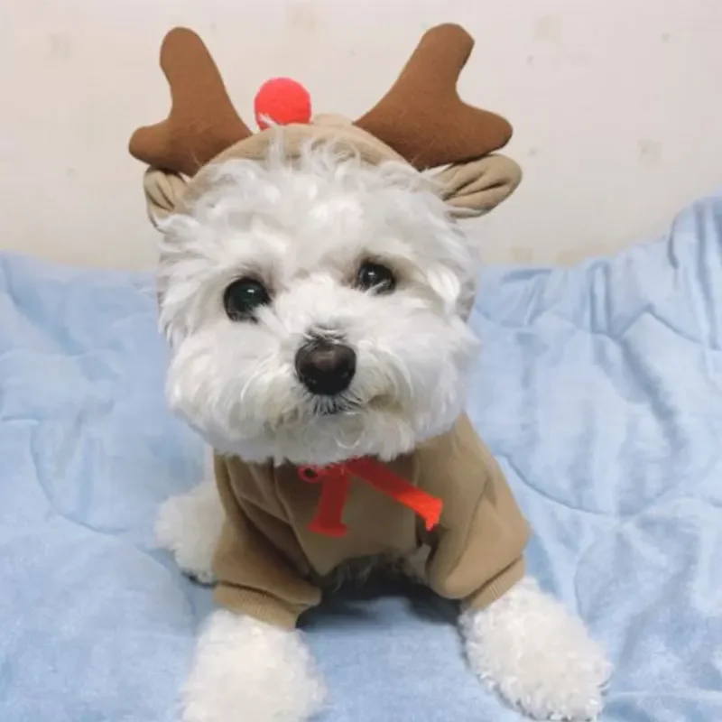 Funny Pet Dog Cat Halloween Costume Dog Costumes for Small Dogs Cosplay Elk Transformed Winter Warm Clothes