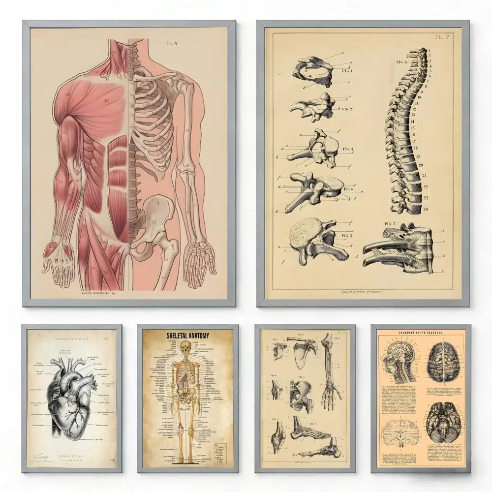 Poster R-Retro-Poster mit menschlicher Organkarte, hochwertiges Kunstposter, HD-Druck für Zuhause, Wohnzimmer, Schlafzimmer, Dekoration, Geschenk