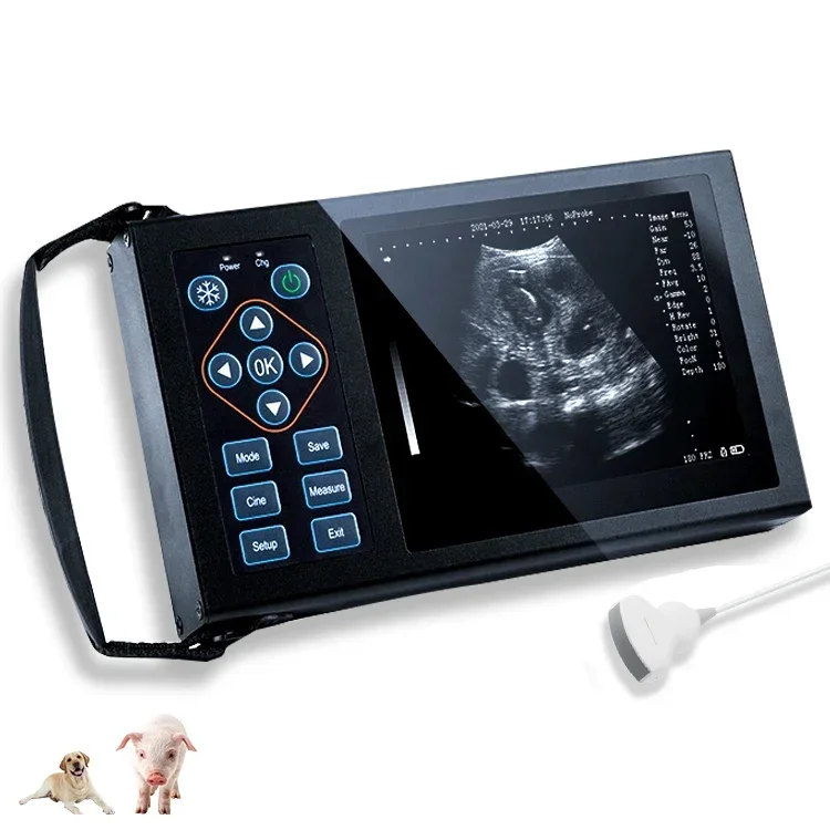 Medical Portable Veterinary Used Ultrasound Machine Animal Portable Ultrasound Machine Price with Color Price