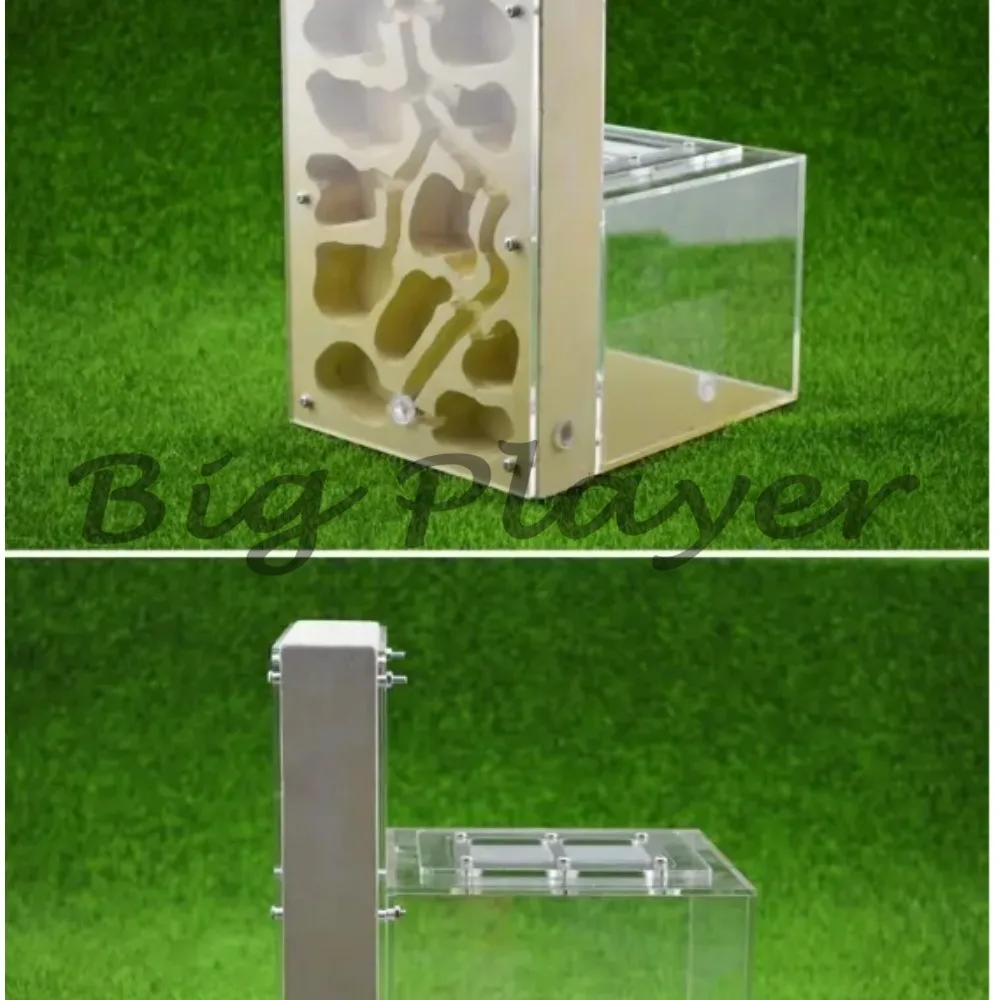 

Large Shiwang Ant House Breeding Nest with Gypsum Moisturizing and Feeding Nest