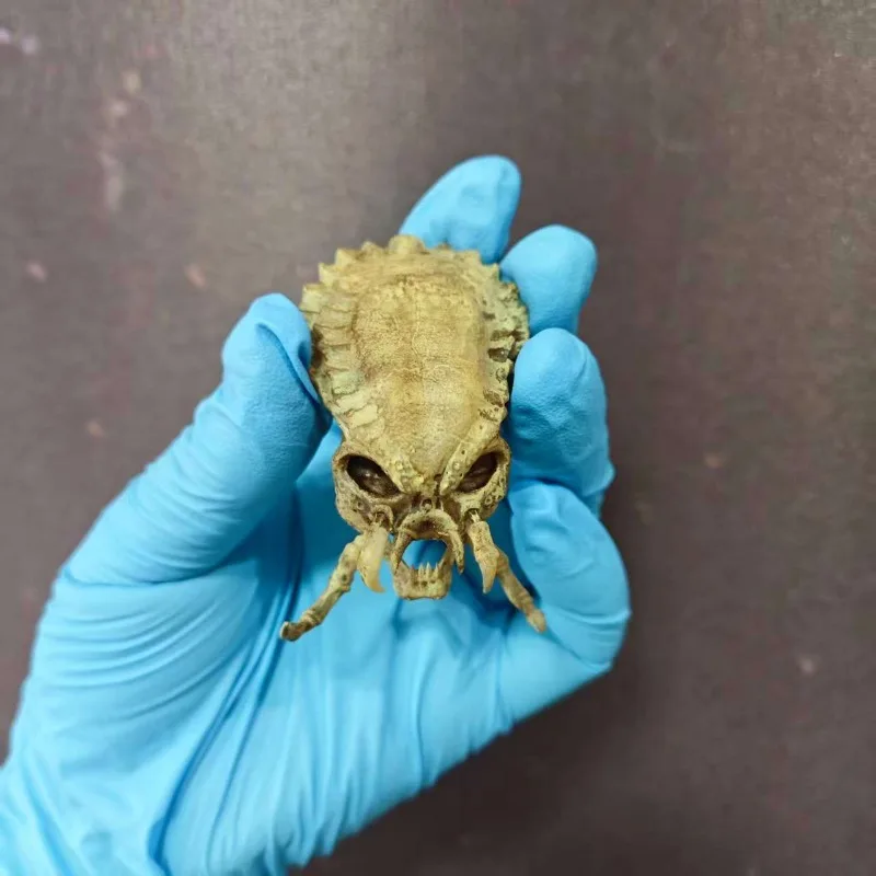 Crâne de sang en fer, échelle 1/6, accessoires de décoration de crâne de colonne cervicale, scène de soldat pour la maison, NECA, 1/12