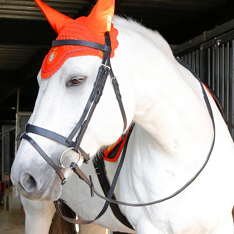 Cincha ecuestre de Cavassion, cuello de cabeza de caballo, marrón, talla L, con rienda de cuero