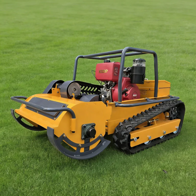 Customized Remote-C…