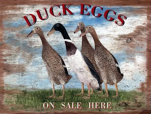 Duck Eggs, Retro Metal Plaque/Sign, Pub, Bar, Man Cave,