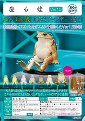 Japan Kitan Gashapon Capsule Toy Sitting Frogs 1.5 Animal Decoration Creatures Model Figure Doll