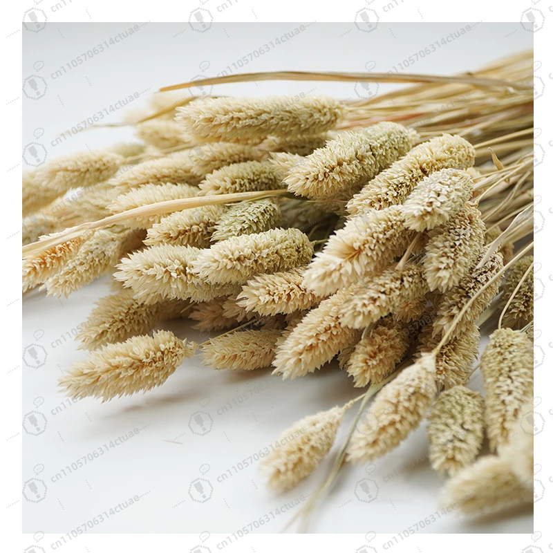 

Hot Sale Custom Home Decor Bulk Natural Gem Grass Dry Preserve Flowers for Bouquet Decoration