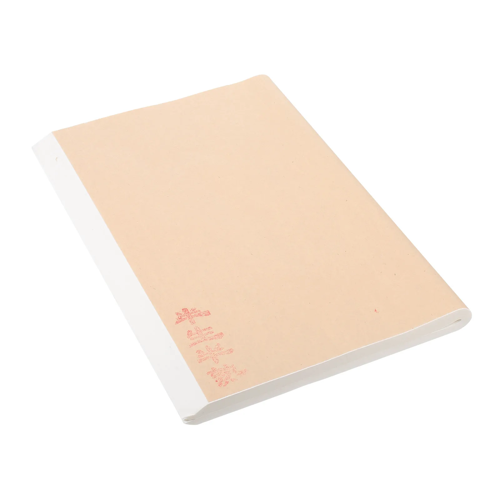 100Pcs Water Ink Paper For Chinese Painting Practice Art Student Xuan Thick Elastic Rice Cutting Friendly