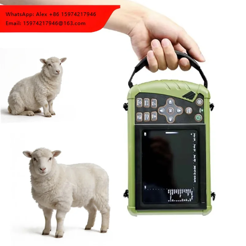 Portable Full Digital Veterinary Ultrasound Diagnostic System Medical Equipment For Veterinary Diagnostics