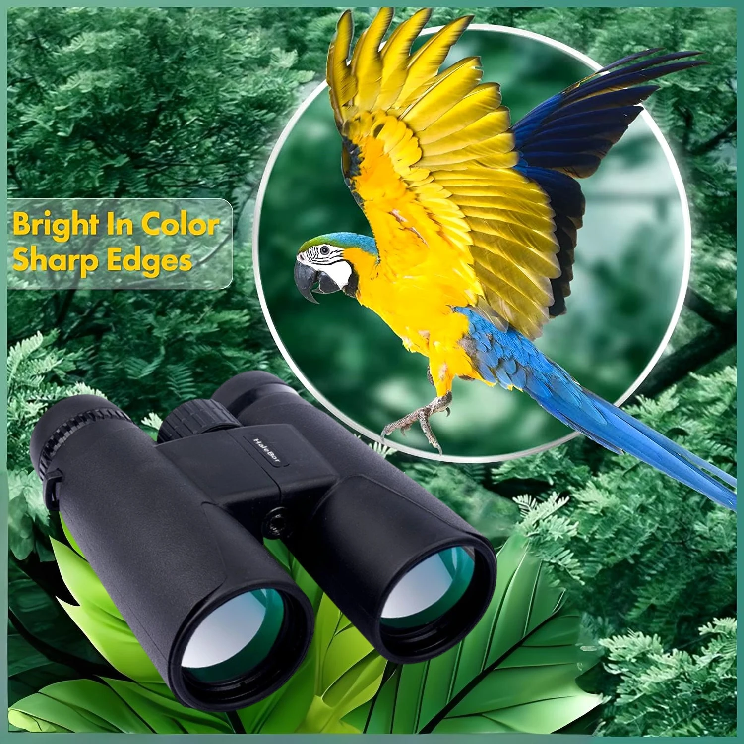 12X50 HD Professional Binoculars Telescope Long Range High Magnification IPX4 Waterproof Telescope,For Birdwatching Spyglass