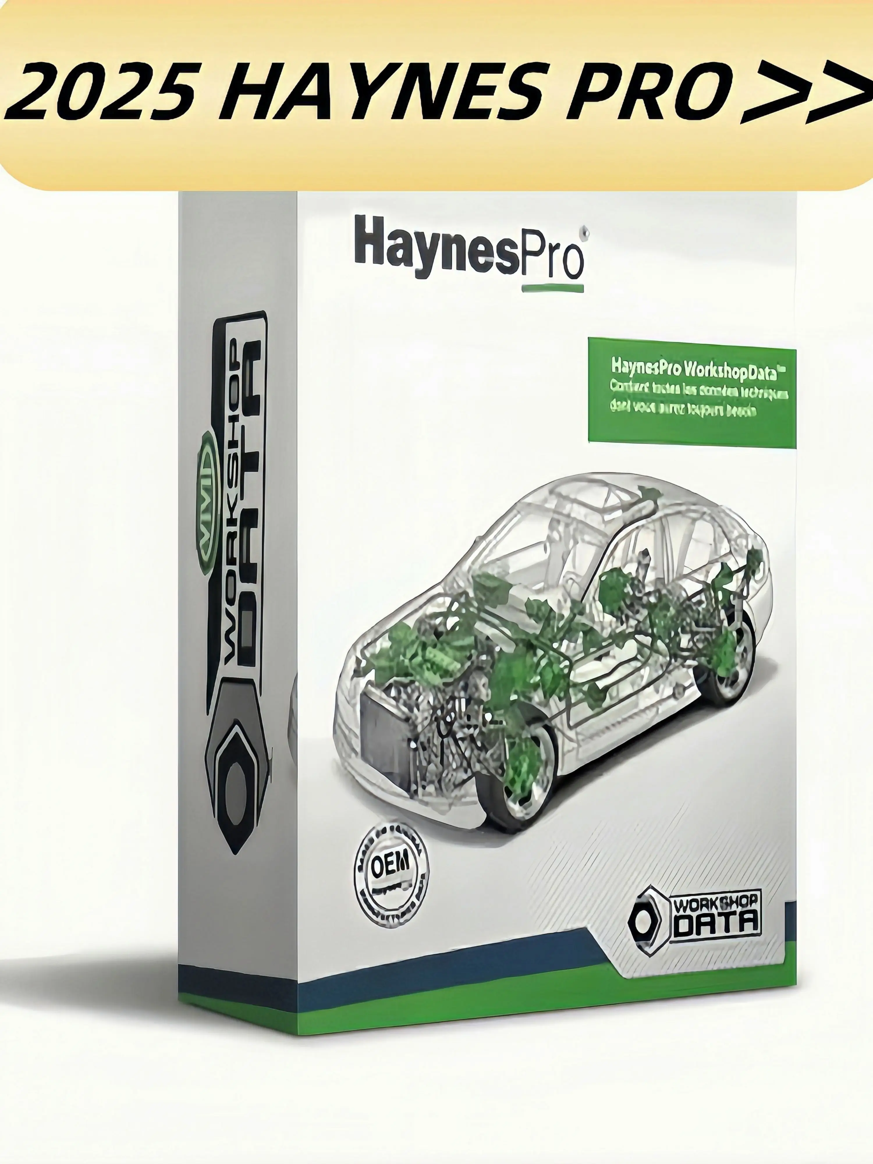 

2025 Haynes Pro+Easy Renault 6.1.4 Software for Renault ECU Programmer Clear Crash Airbag Card Keys UCH Cleaner WORK with OBDLin