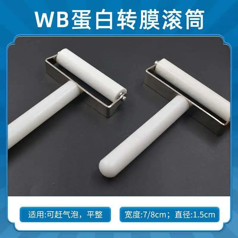 Western Blot Roller, WB Protein Roller, Film Transfer Assistant, Electrophoresis Machine Roller, Bubble Chasing Silicone Roller,