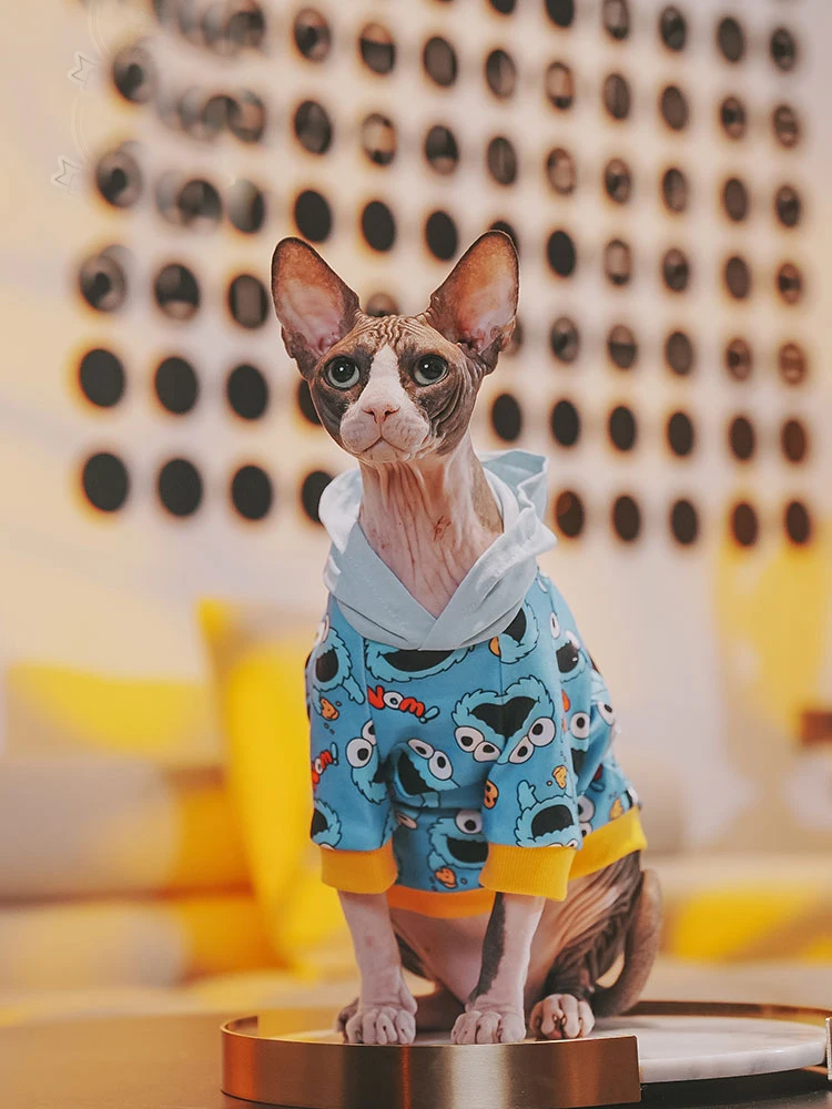 Cat Clothing for Sphnx Soft Cotton Cartoon Jacket For Devon Rex Baseball Uniforms for Cat Warm Coat for Kittens in Autumn Winter