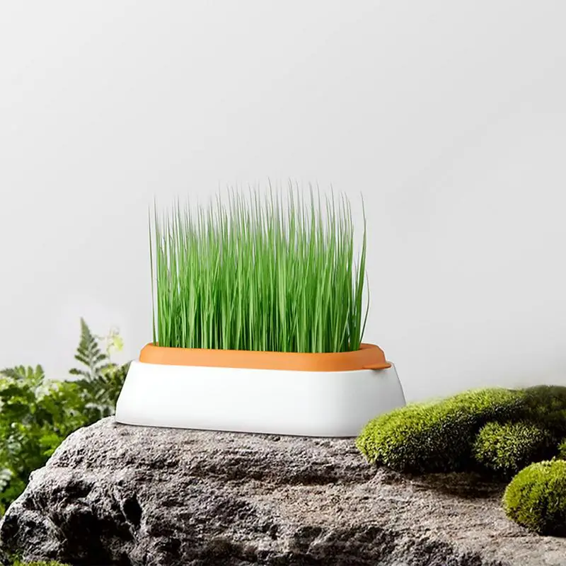 Pet Cat Grass Planter Box Hydroponic Cat Grass Plant Growing Pot Soil-Free Cat Snacks Germination Nursery Pot Grow Box