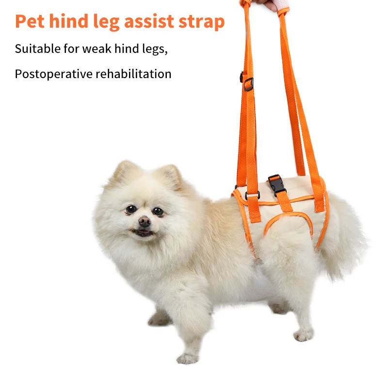 Adjustable Dog Sling Back Legs Hip Support Pet Accessories Canine Aid Breathable Dog Leg Support Durable Dog Hip Support