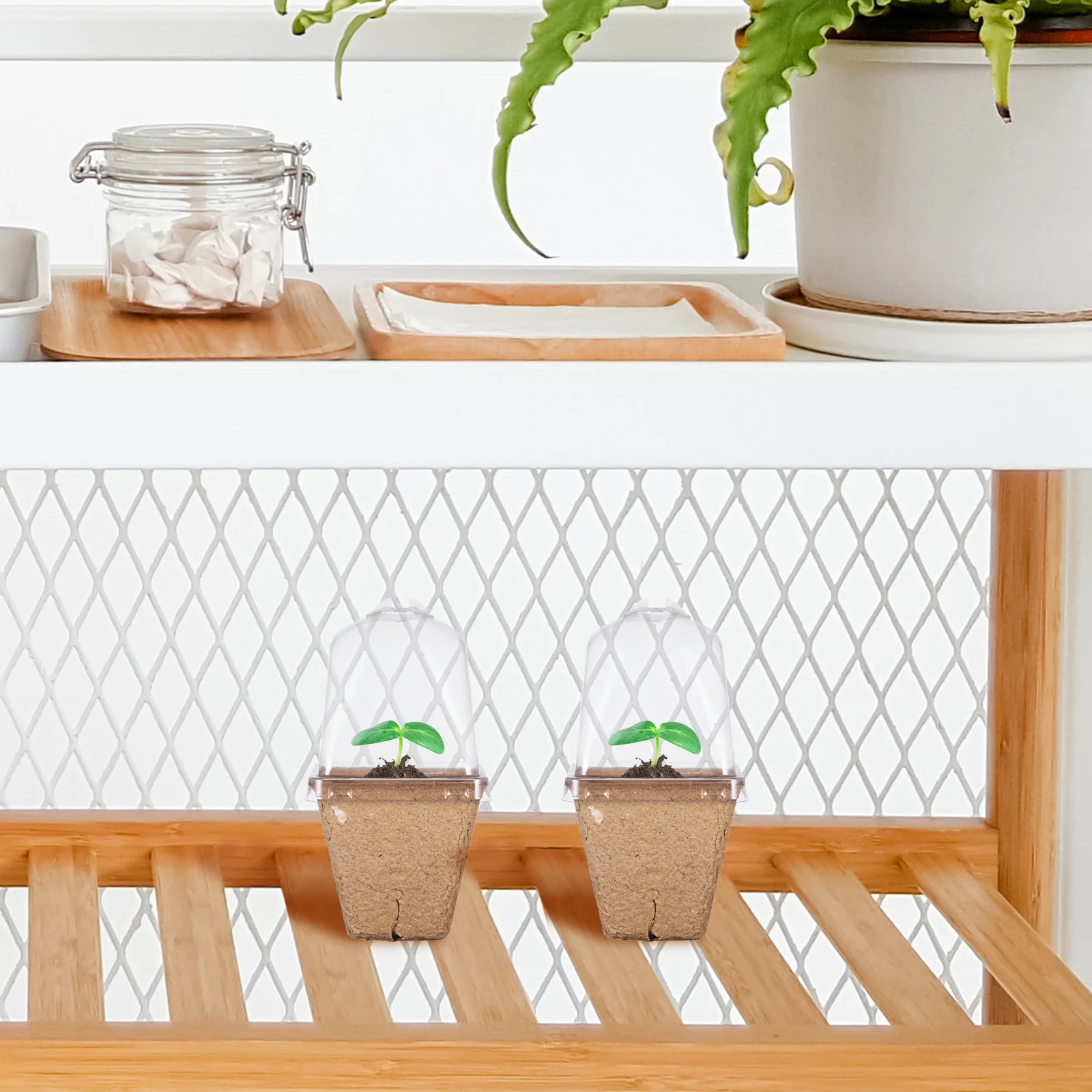 

20Pcs Nursery Planter Paper Pots Lidded Planting Pots with Drainage Holes Small Succulent Plant Containers Garden Plant Supplies