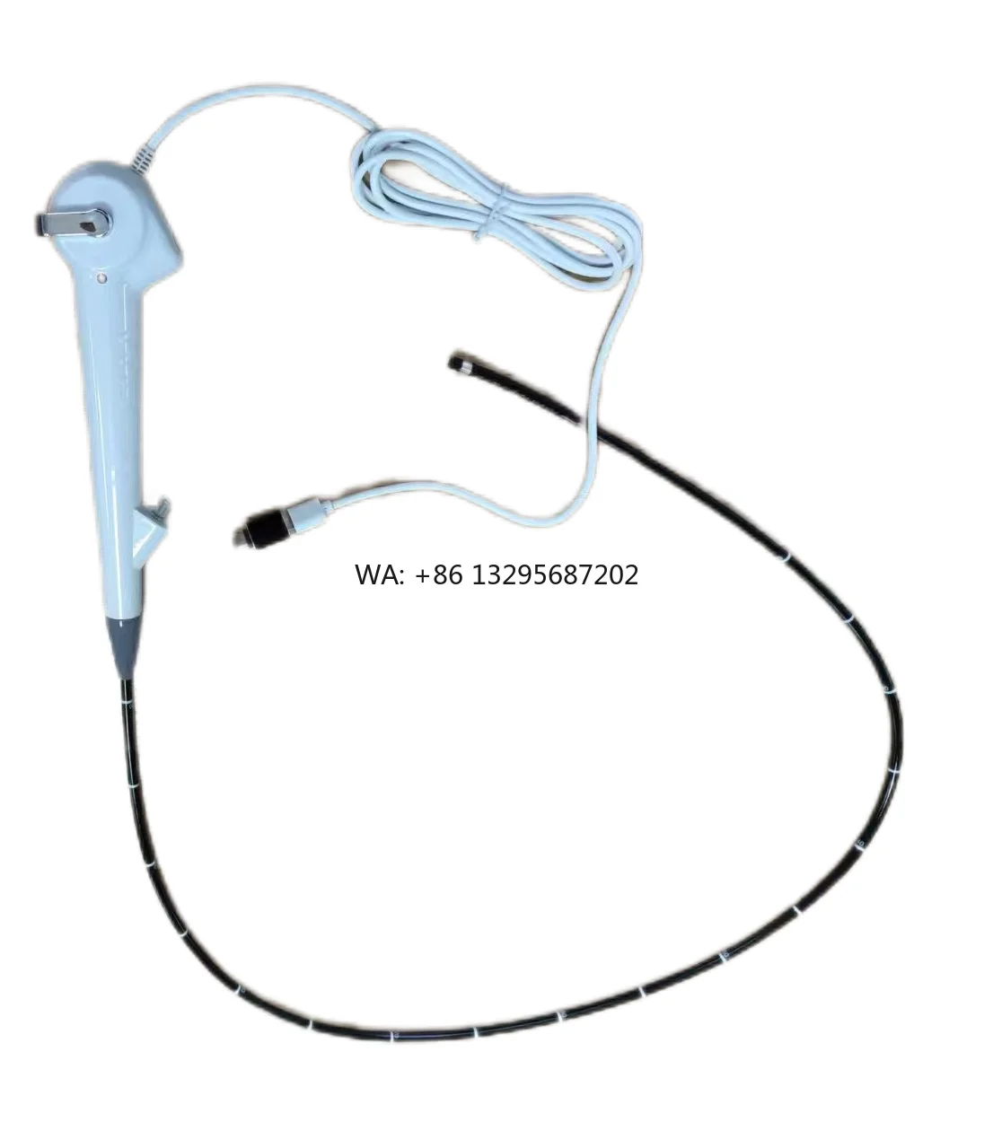 

Veterinary Portable USB Gastroscope and Colonoscope for Small Animals