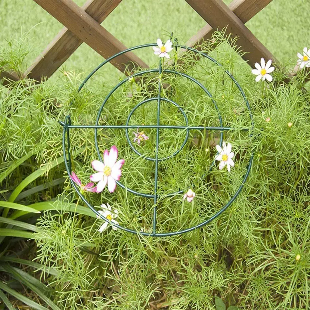 

Daily Flower Supporter Cage Round Edge Stable Plant Brace Solid Metal Garden Plant Stake for Flowers Flower Support Ring