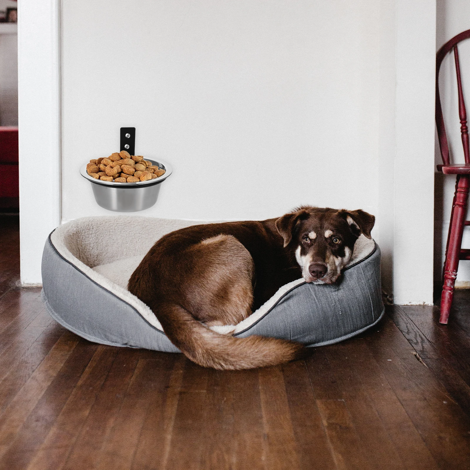 

1 set Raised Dog Stainless Steel Elevated Feeding For Large Dogs Anti-Overturn Pet Food Bowl Wall Mounted Dog Water Bowl Pet