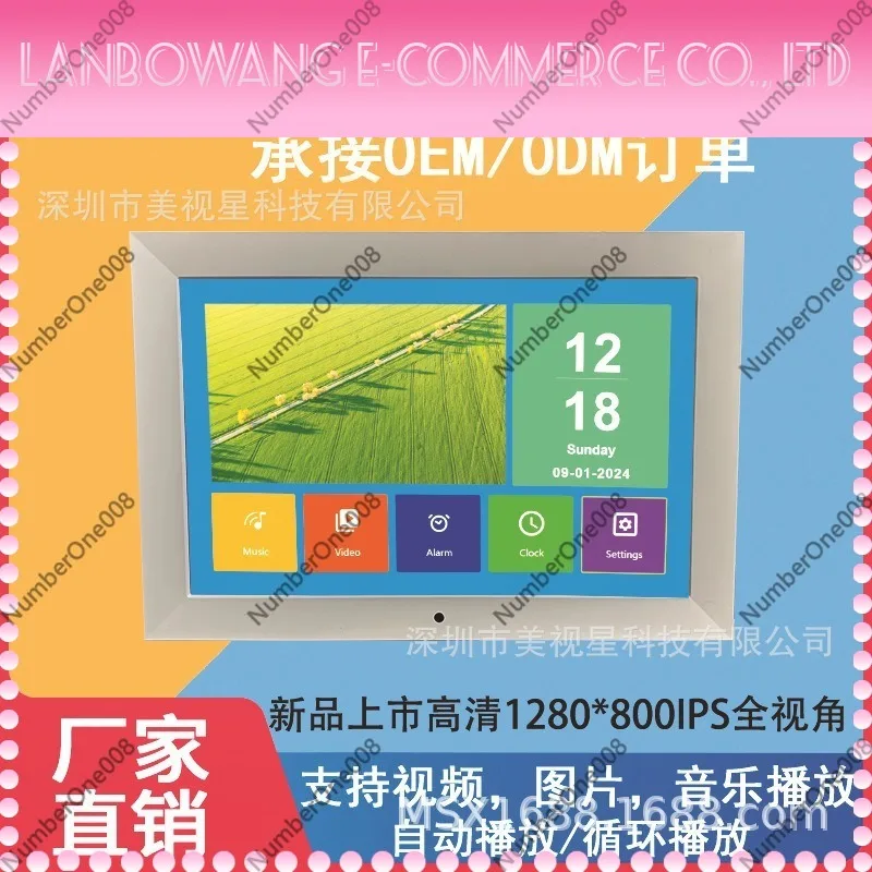 10.1 Inch IPS Digital Photo Frame HD Electronic Album Video Advertising Display Player