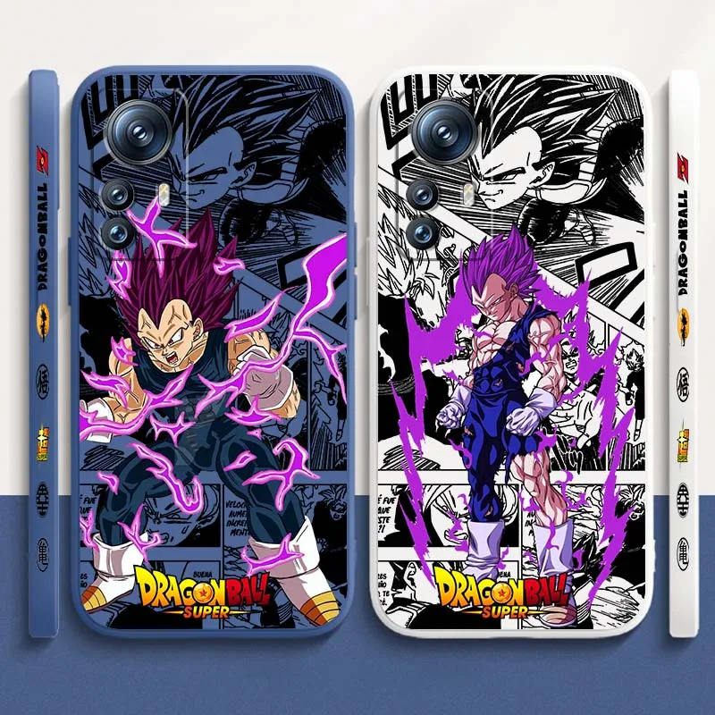 Dragon Ball Vegeta … - image