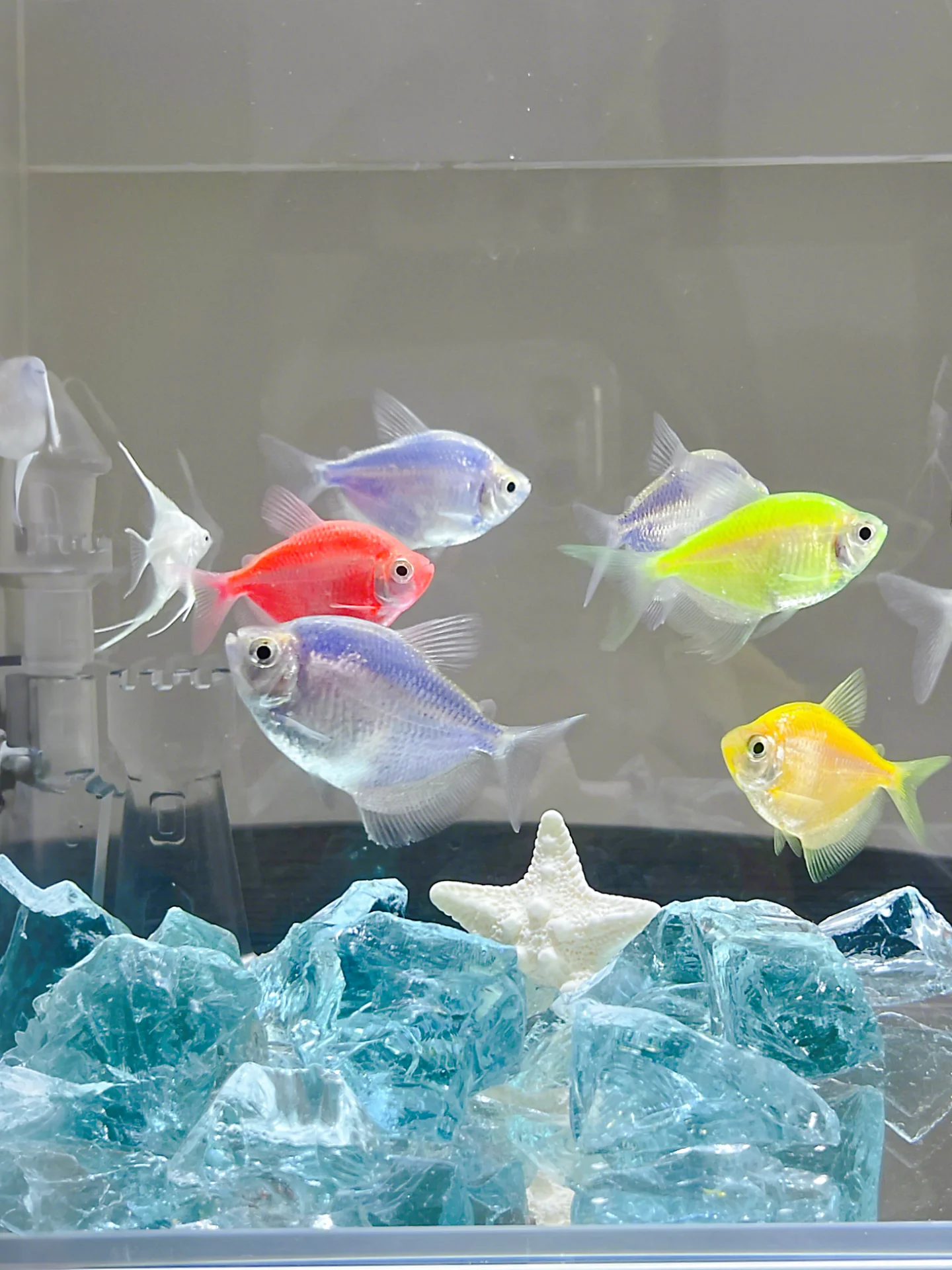 

Dreamy Crystal Stone Aquarium Decoration DIY Decorative Ornaments Small Pet Fish Tank Landscape Decoration Crystal Ornament