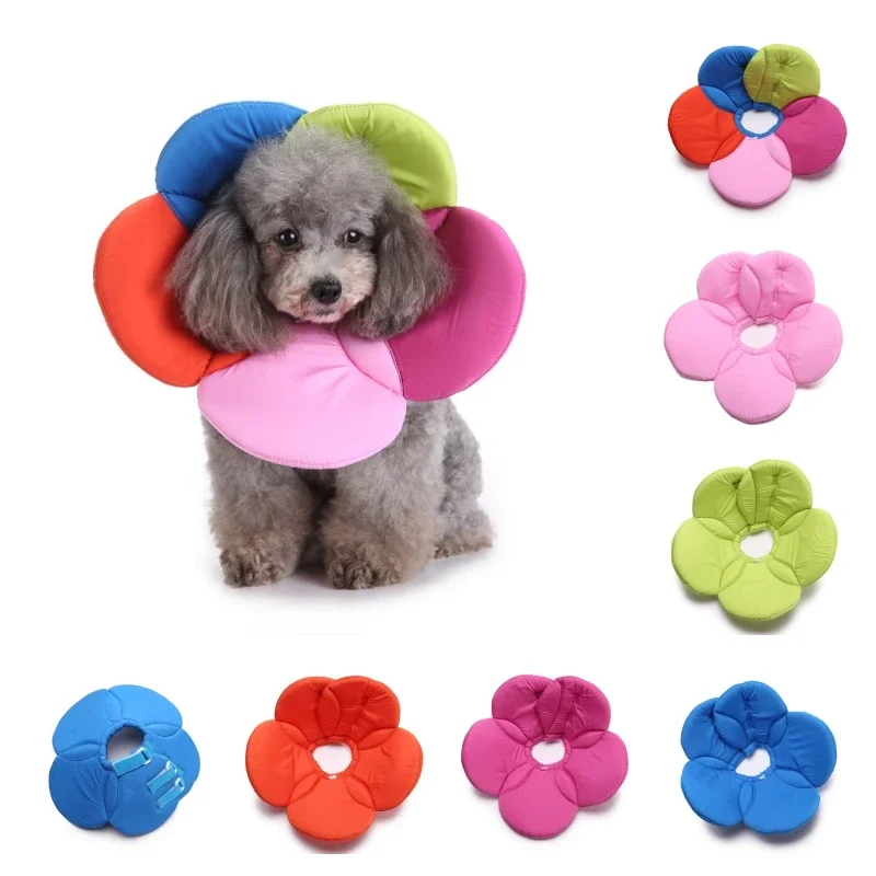 Recovery Collar Dog Protective Lightweight Comfortable for Pet C9Ds Flower Co Recovery Collar  Dog