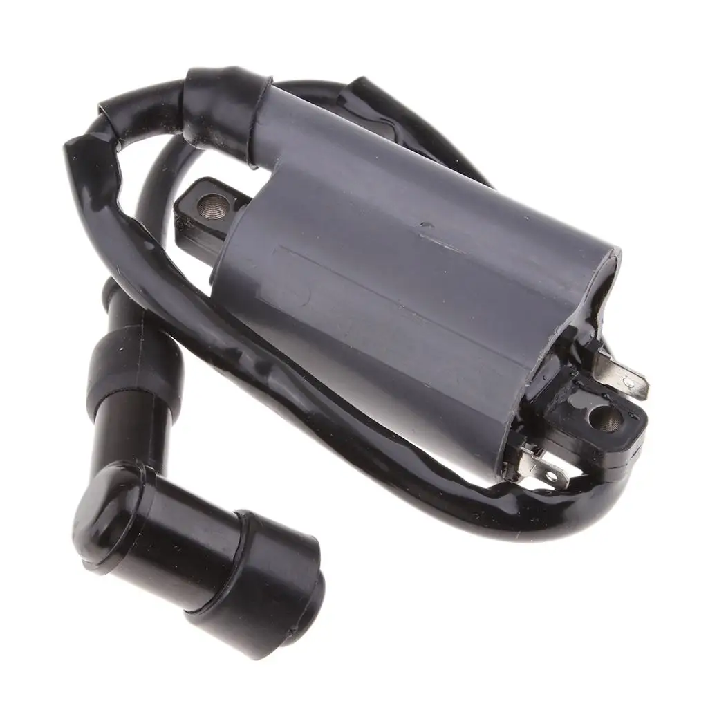 

Ignition Coil for Buyang 300CC D300 G300 H300 ATV Quad Dirt Bikes Scooter