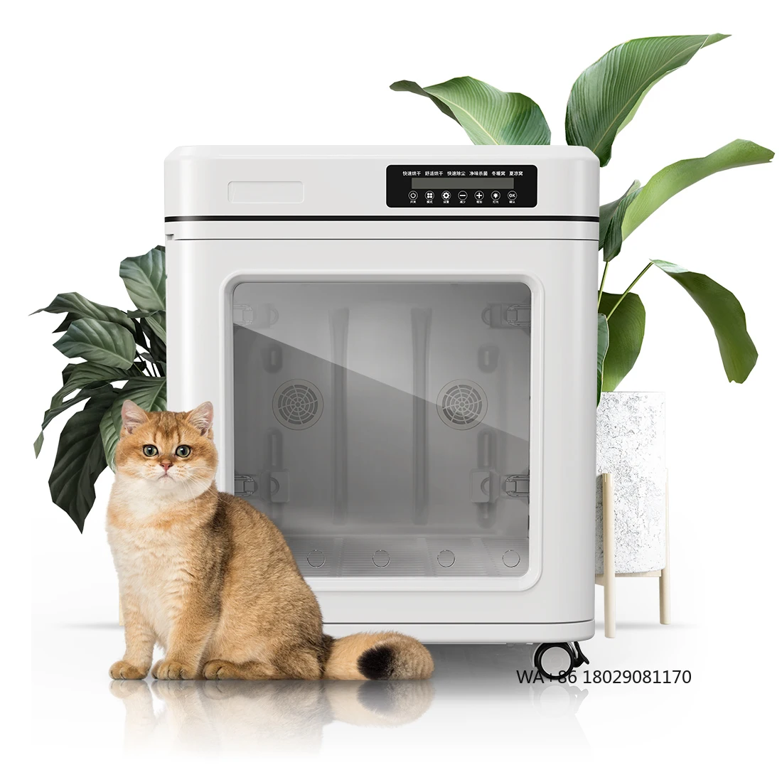 

Коробка для сушки волос для домашних животных, быстрая бесшумная сушилка для собак с несколькими домашними животными, простая в использовании, для ванной комнаты, большая, 100 л, профессиональная, умная, экологически чистая