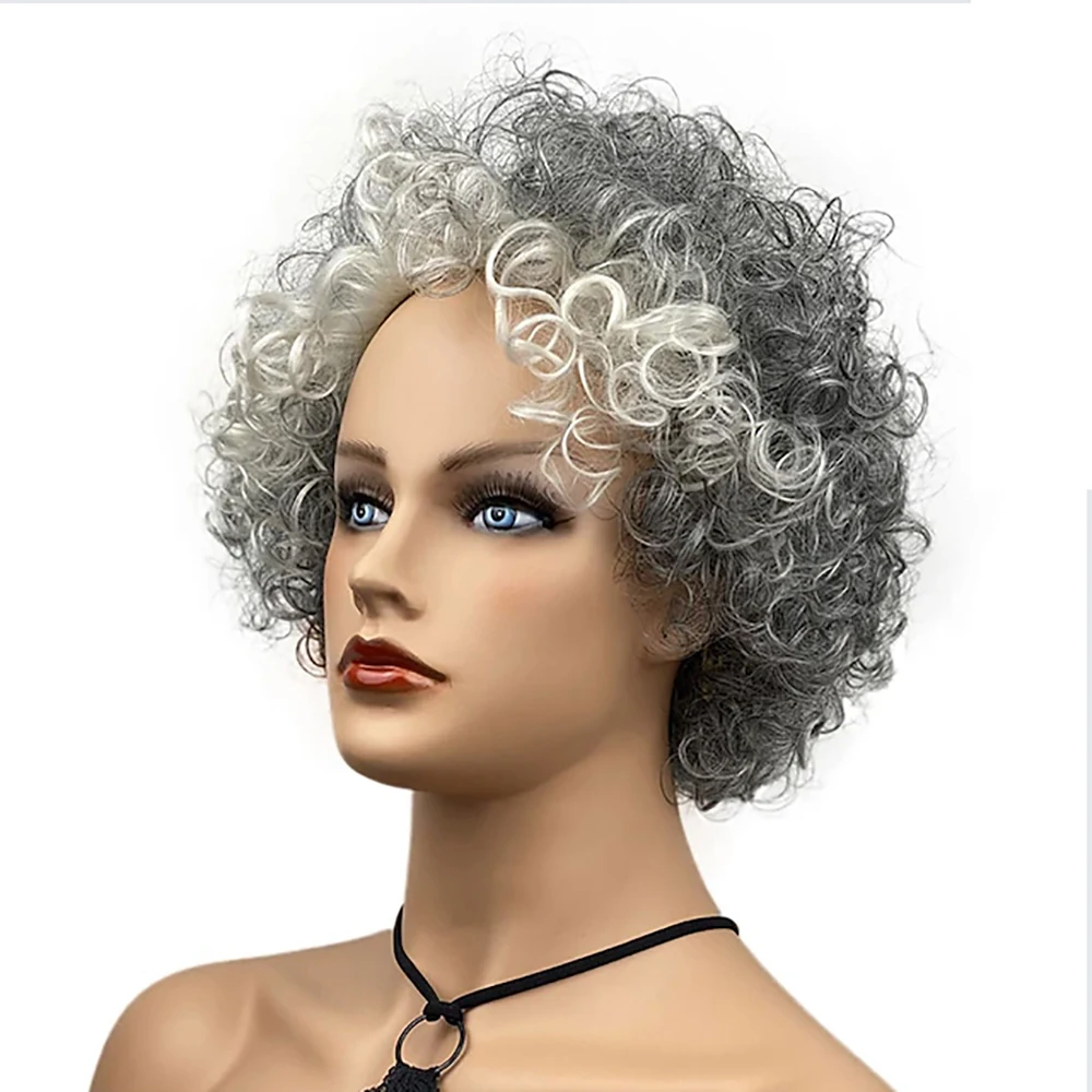 HAIRJOY Synthetic Hair Dark Gray White Mixed Short Curly Women Wigs Heat Resistant Hair