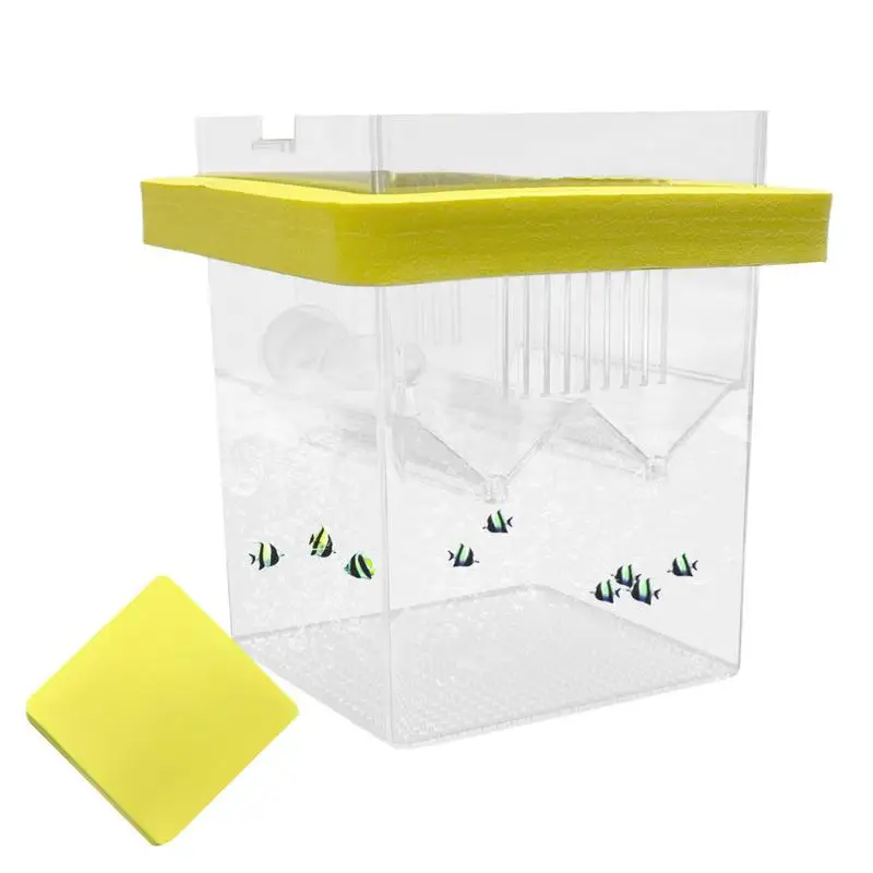 Fish Breeding Box Floating Fish Hatchery Incubator Tank With Suction Cups Guppy Betta Fish Isolation Box For Aquarium