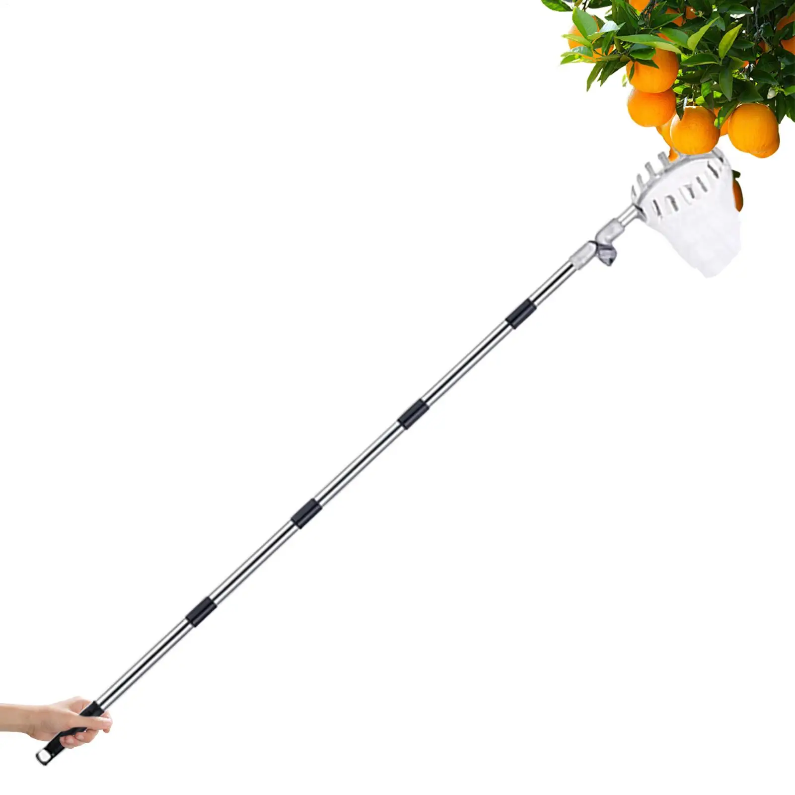 4m Fruit Picker Pole Stainless Steel Rustproof Adjustable Long Catcher Orange Picker Pole Tool Splicing Rod Berry Picker