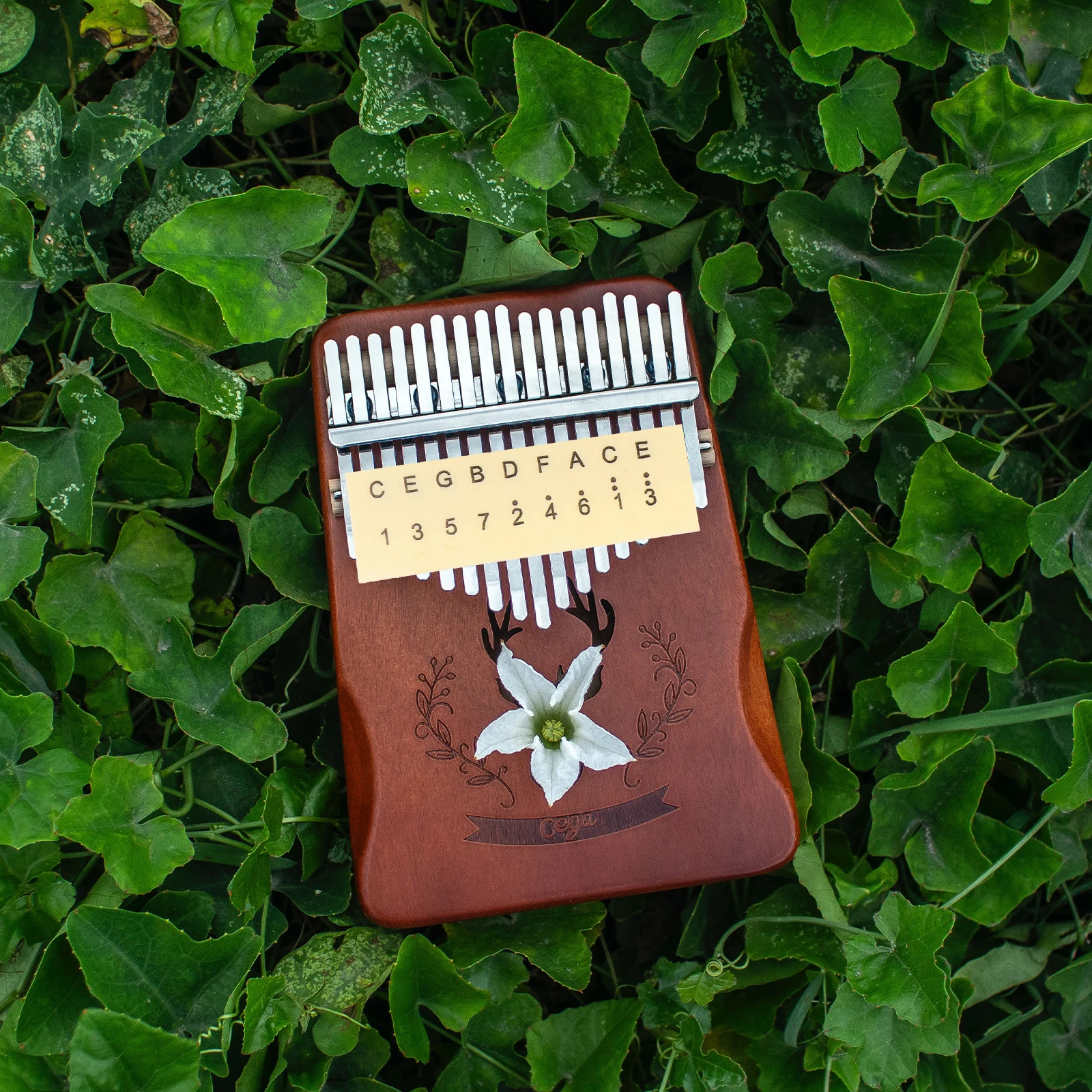 

6pcs Thumb Piano Scale Stickers Clear Colorful Smooth Durable Easy Practice Bright Visual Effect Learning Keyboard Matching Note