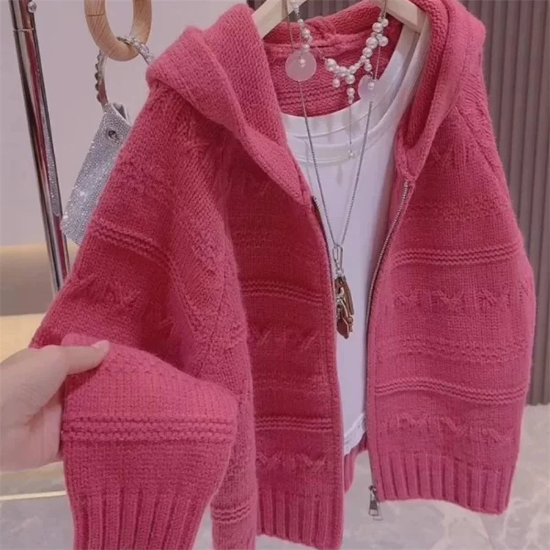 

2026 New Women Cardigans Sweater Spring Autumn Long Sleeve Zipper Hooded Knitted Sweaters Warm Korean Sweater Coat Woman Tops