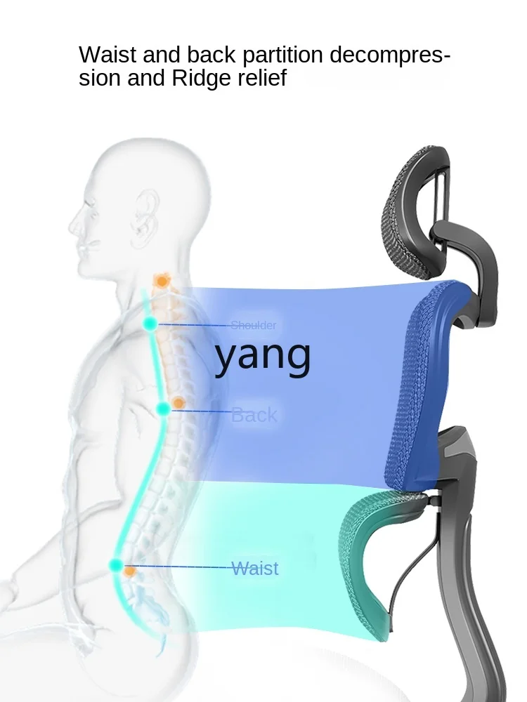 L'm'm Chair Computer Chair Home Comfortable Lunch Break Office Long-Sitting Waist Support E-Sports Seat