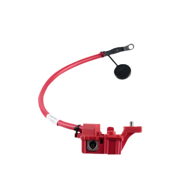 

Защита от перегрузки кабеля положительного клеммника к аккумулятору 61129217031 для BMW E90 E91 E82 E84 E88, предохранитель положительного кабеля аккумуляторной батареи