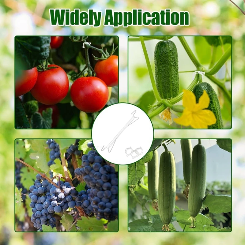 Ganchos para tomates, ganchos para soporte de tomate, Clips de soporte para plantas con cuerda, gancho de soporte para tomate para plantas trepadoras