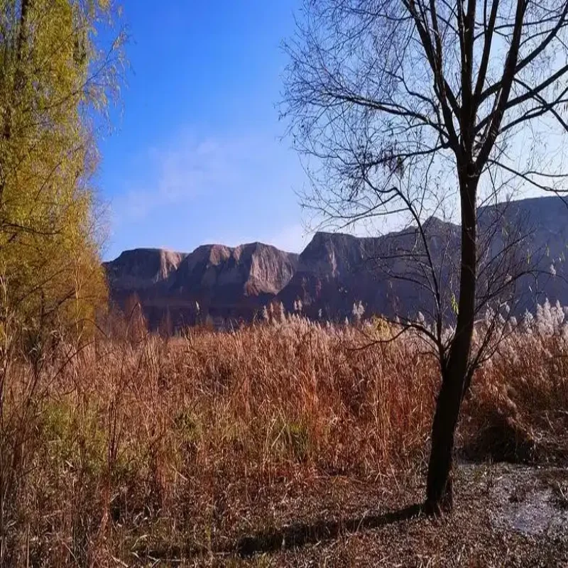 

Электрический привод багажника для Mazda CX-5 (2013-2024) – автоматическое открывание, электромотор для багажника, аксессуар для автомобиля