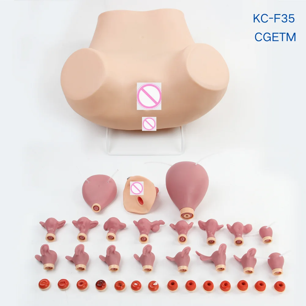 Advanced Comprehensive Gynecological Examination Training Model for Medical Education & Gynecology Clinical Skill Practice Simul