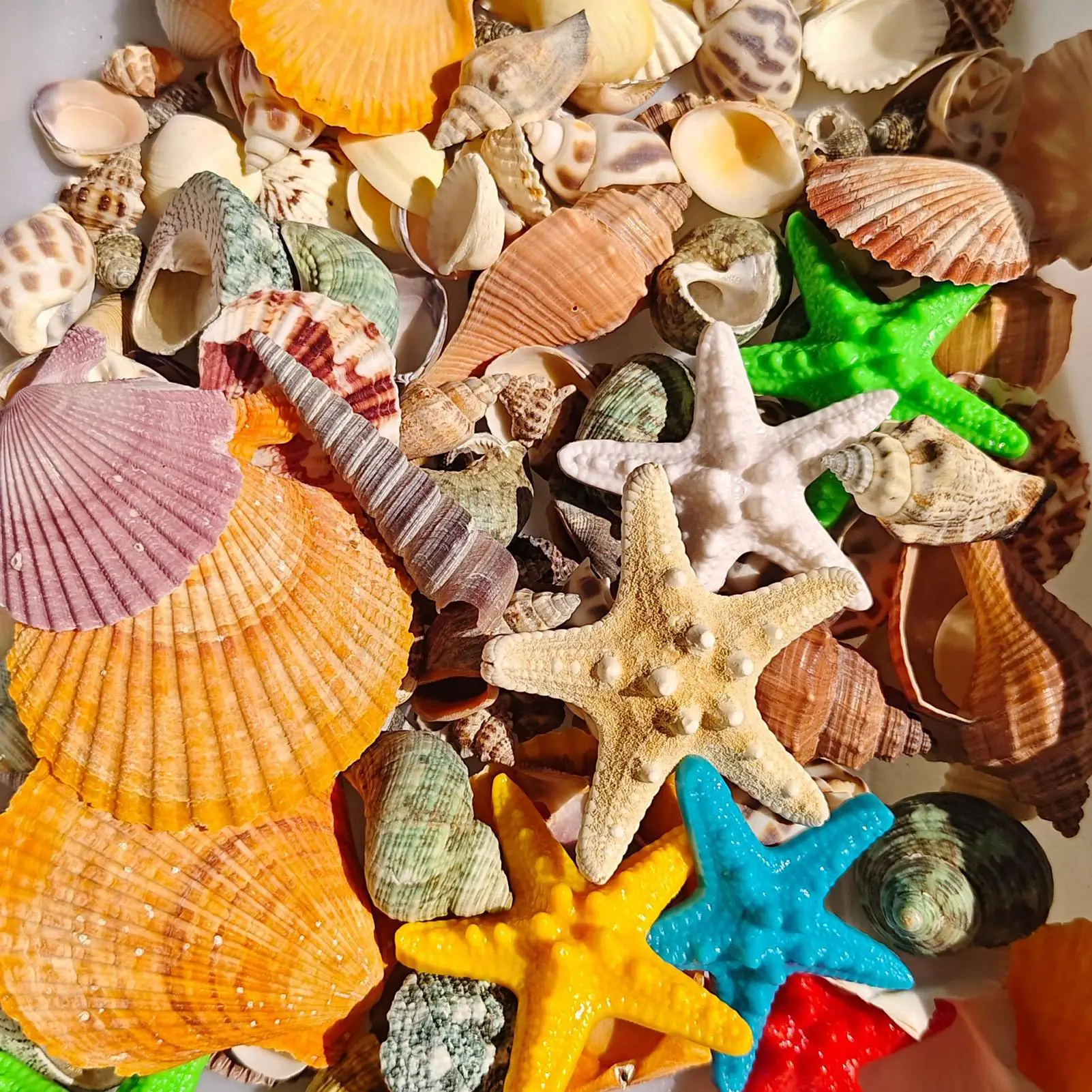 Tiny Seashells For Crafts Smal - đánh giá và giá Candle Making For Kids
