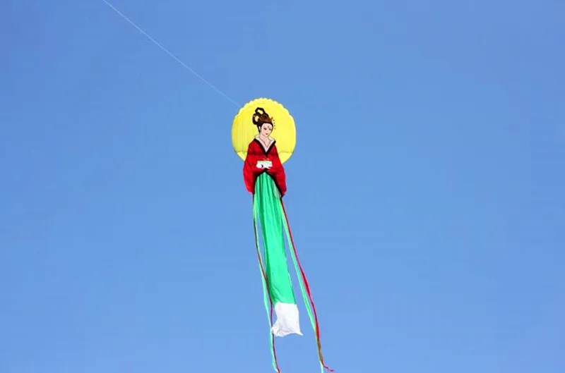 무료 배송 성인을 위한 중국 전통 연 비행 야외 장난감 연 릴 독수리 새 새로운 펜던트 parapente