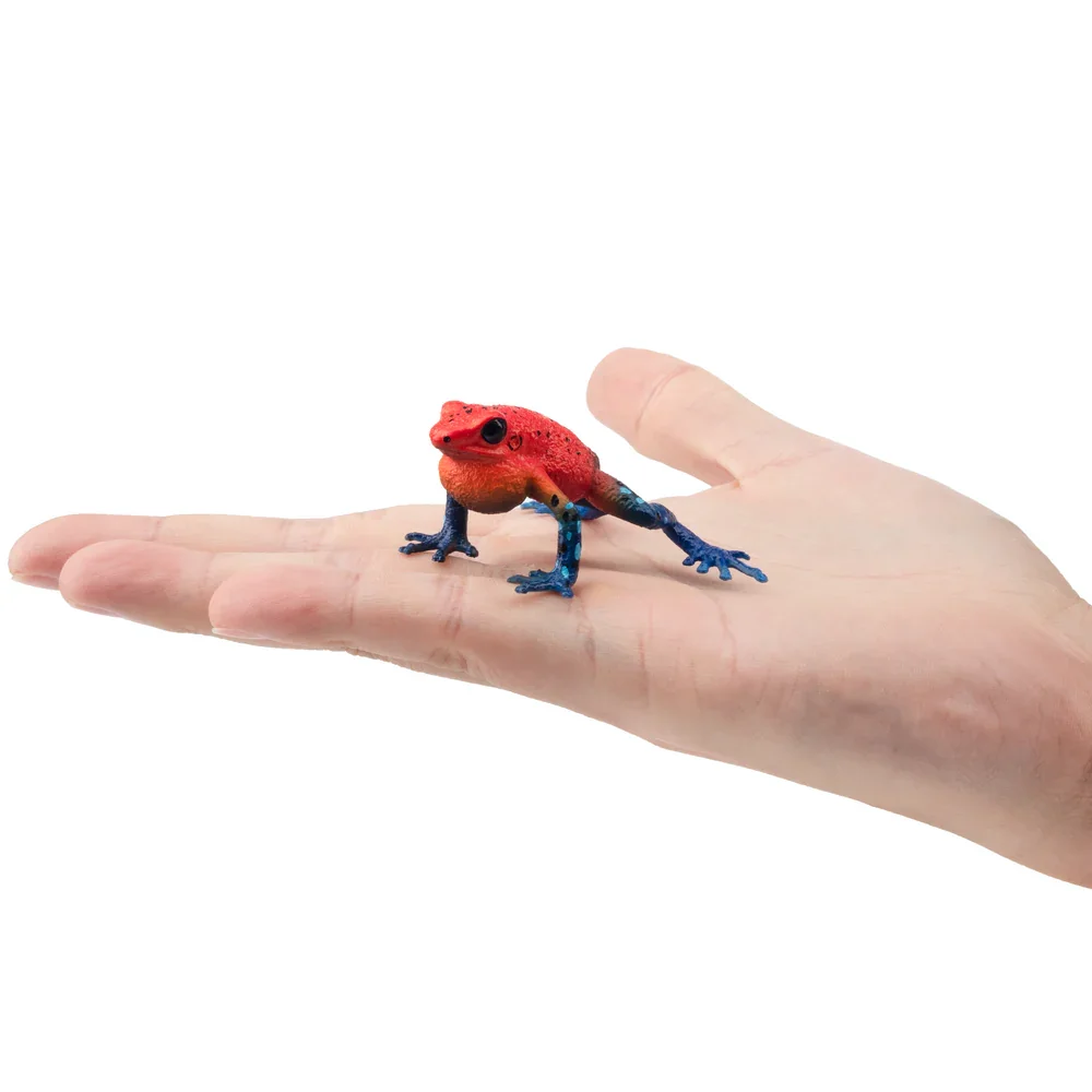 Toymany Simulation Strawberry Poison-Dart Frog Reptile Realm Animal Model Toy Mini Figures Dolls Action Figurines Toys Children