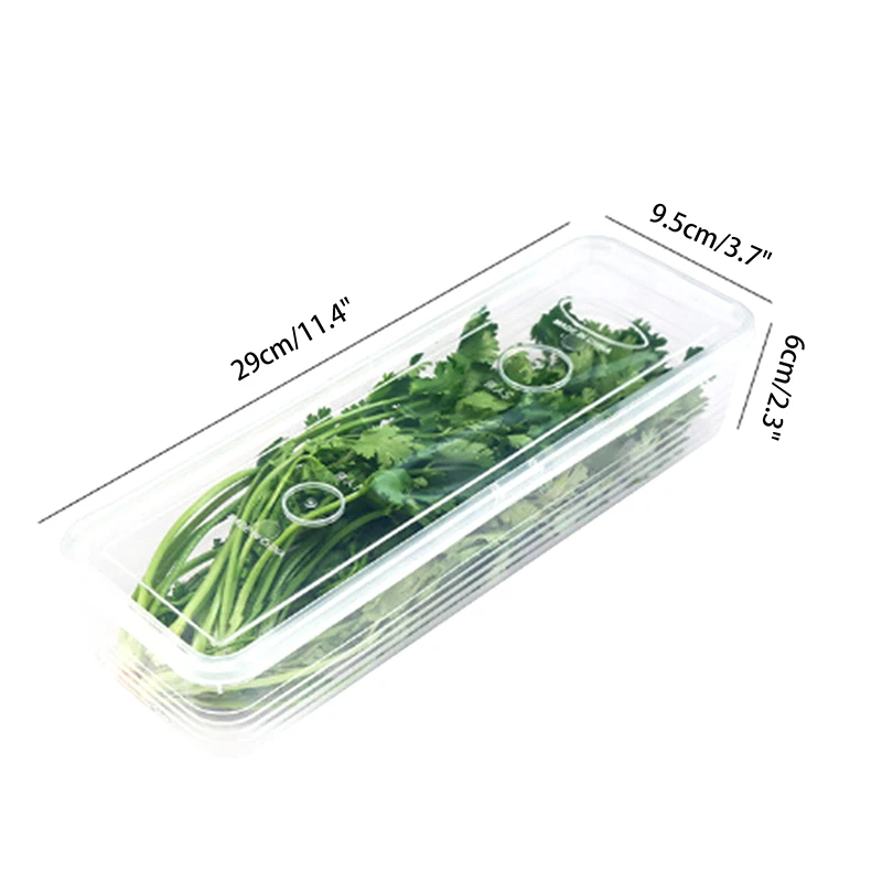 Storage Crisper Sealed Fridge Organiser Refrigerator Storage Boxes Scallions Fresh Box Food Container Cold